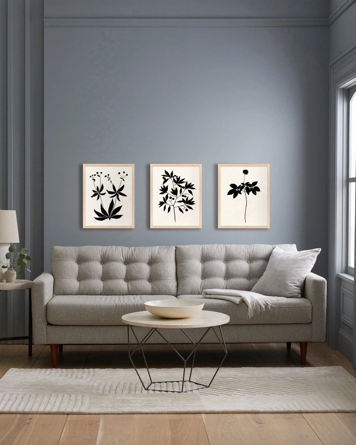 Botanical by Philippa Katz (Set of 3) - 17.25"x21.25" / Black