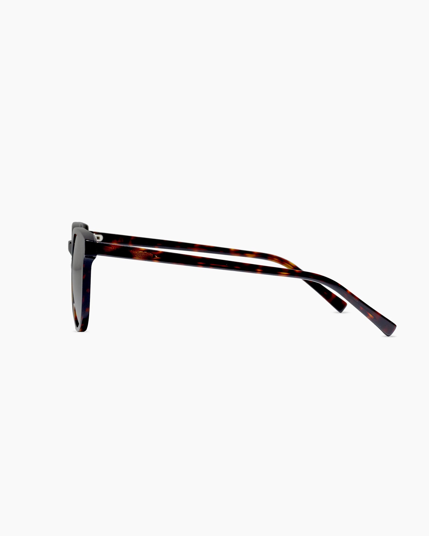 Charlie Polarized Acetate Sunglasses - Standard / Clear with Grey lens
