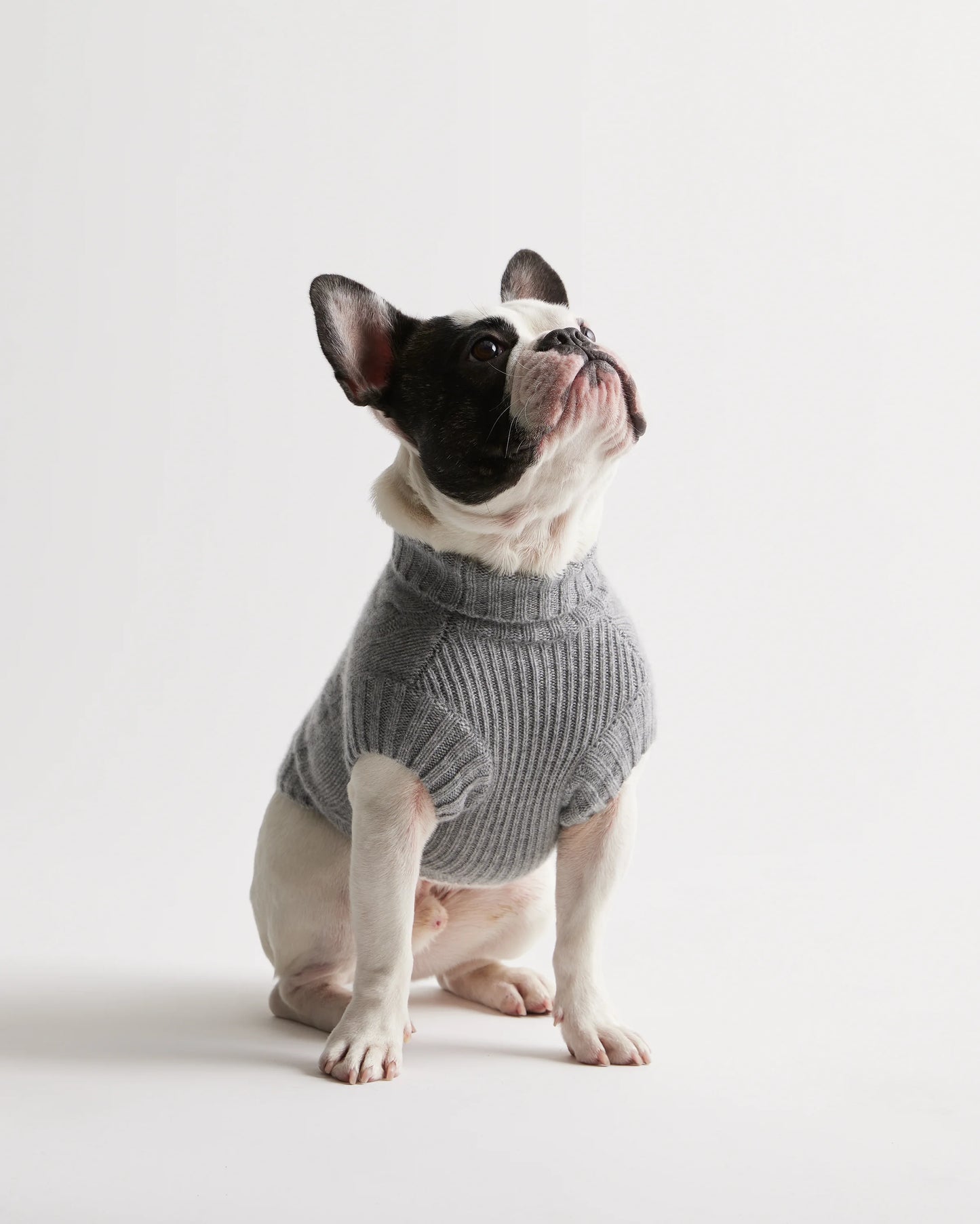 Mongolian Cashmere Cable Knit Dog Sweater - XS / True Navy