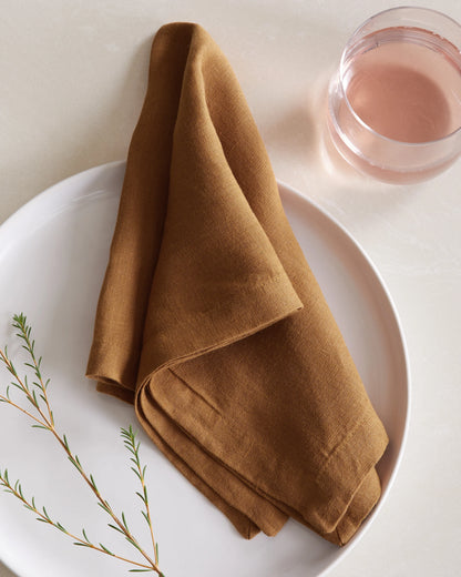 European Linen Napkins (Set of 4) - One Size / Mist