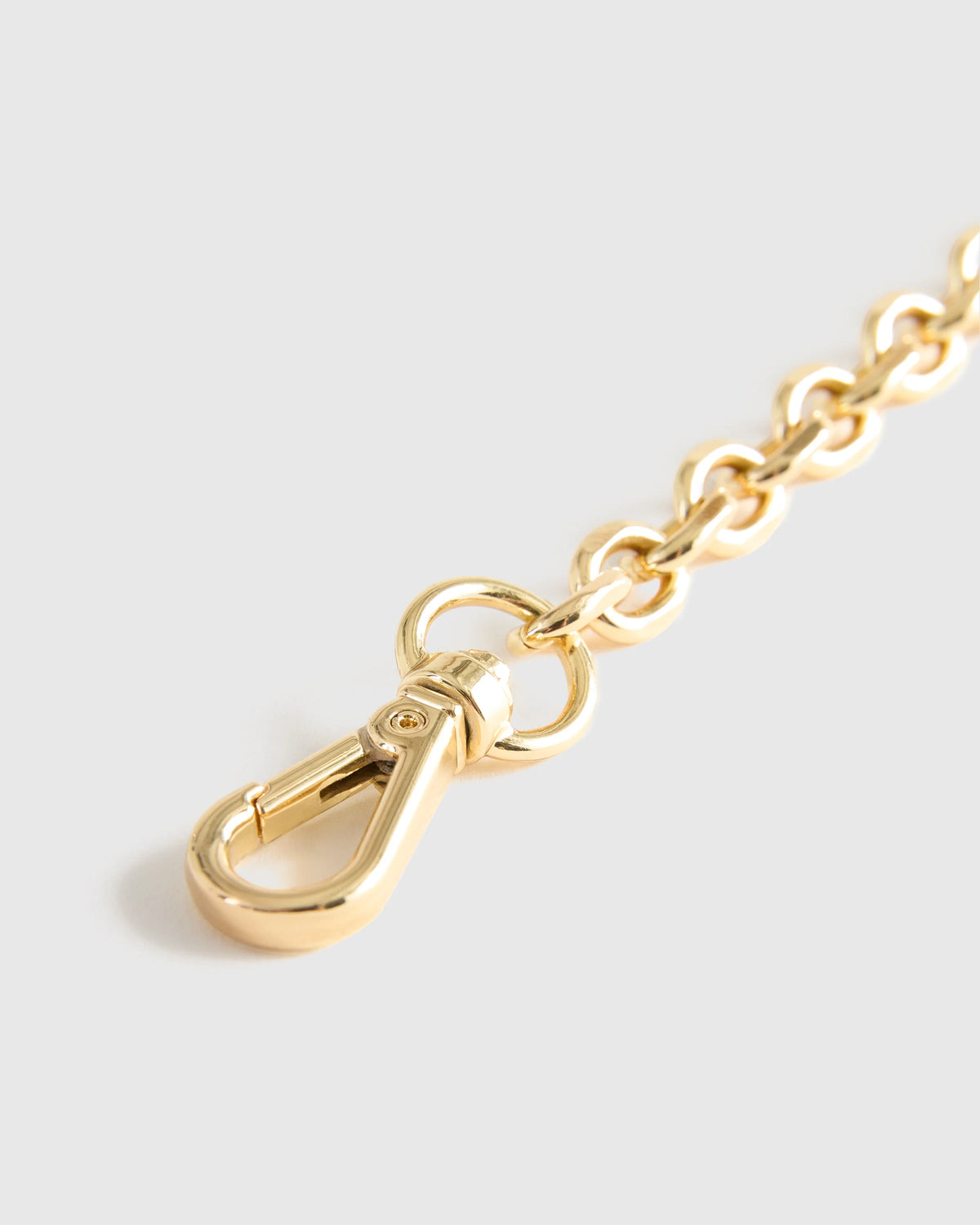Chain Crossbody Strap - One Size / Antique Gold