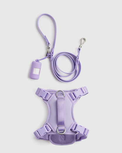 Dog Harness Walk Kit - XS / Black