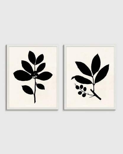 Tea Tree, Cherry Laurel by Philippa Katz (Set of 2) - 17.25"x21.25" / Black