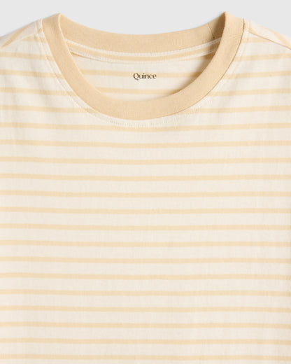 100% Organic Cotton Jersey Short Sleeve Tee - 6 / Dino Sketch