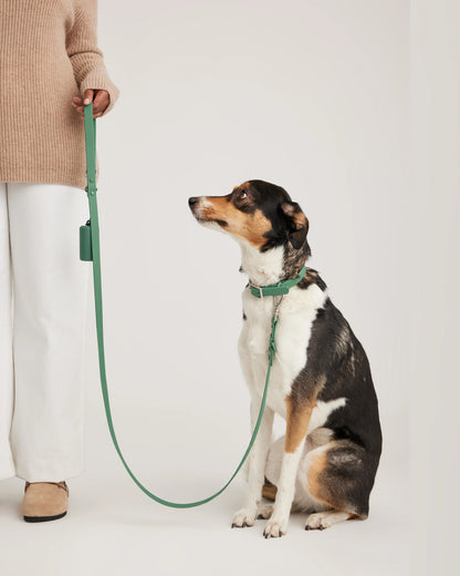 Dog Collar Walk Kit - XS / Black