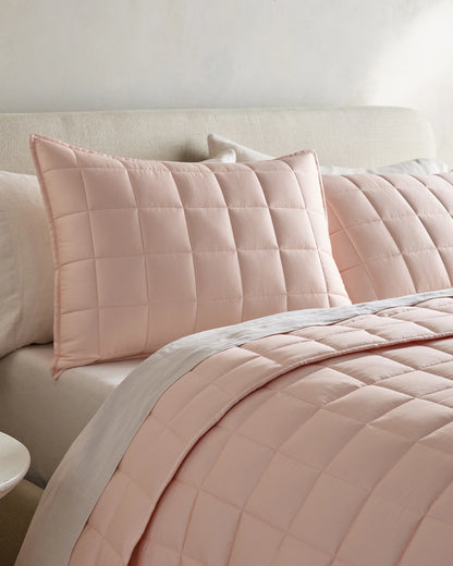 Bamboo Box Quilted Sham Set - Standard / Sage