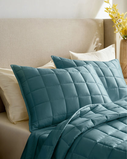 Bamboo Box Quilted Sham Set - Standard / Sage