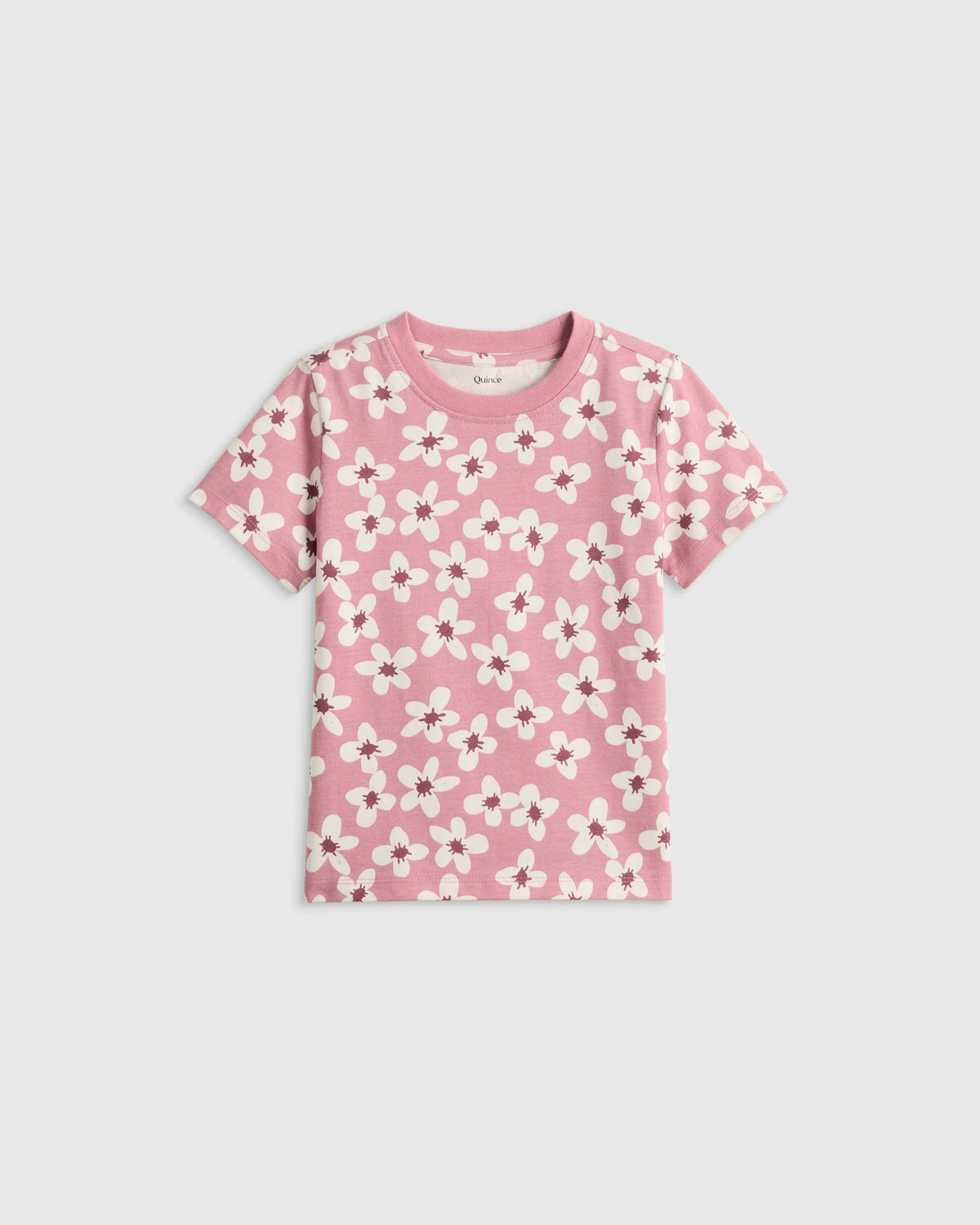 100% Organic Cotton Jersey Short Sleeve Tee - 2T / Dino Sketch