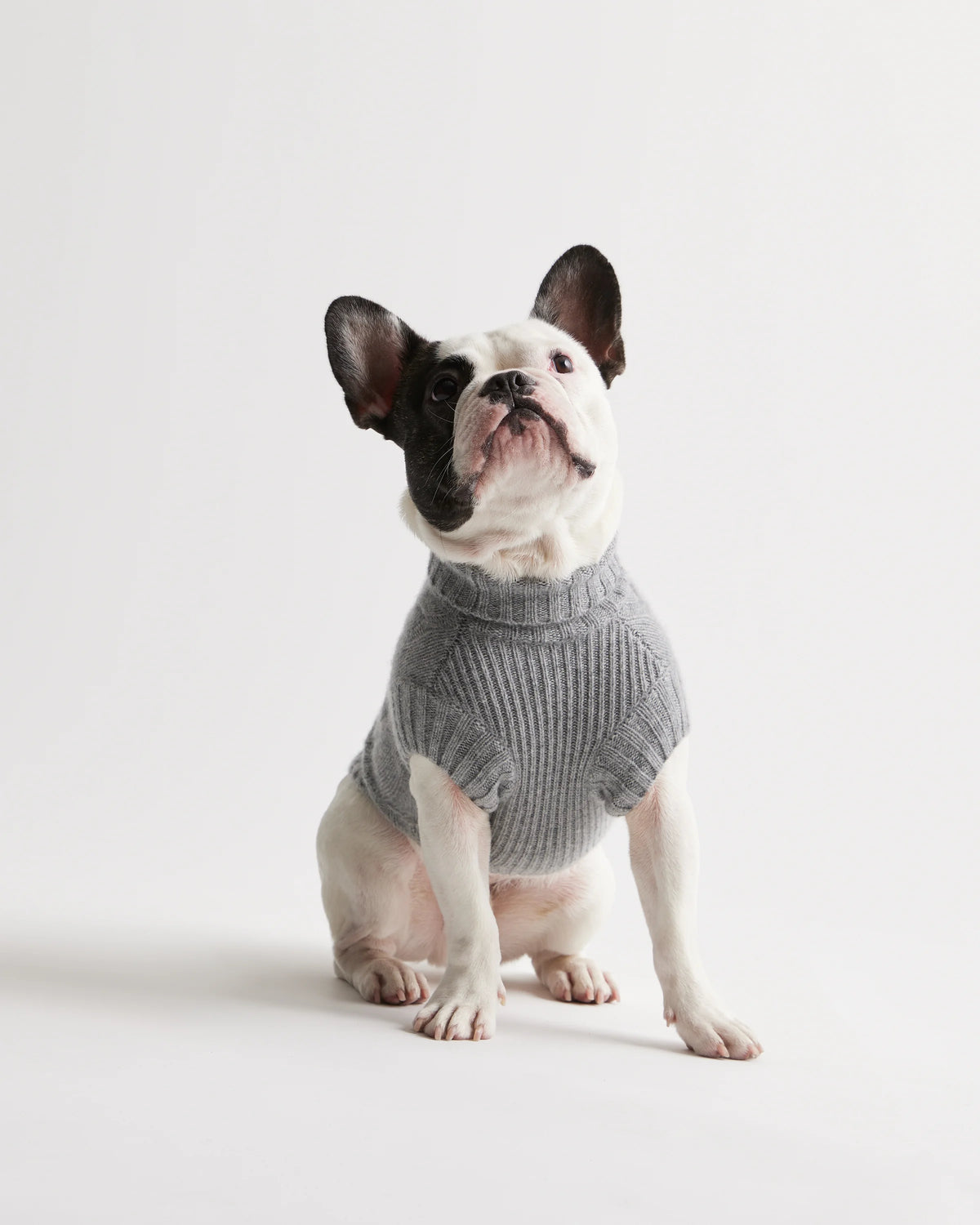 Mongolian Cashmere Cable Knit Dog Sweater - XS / True Navy
