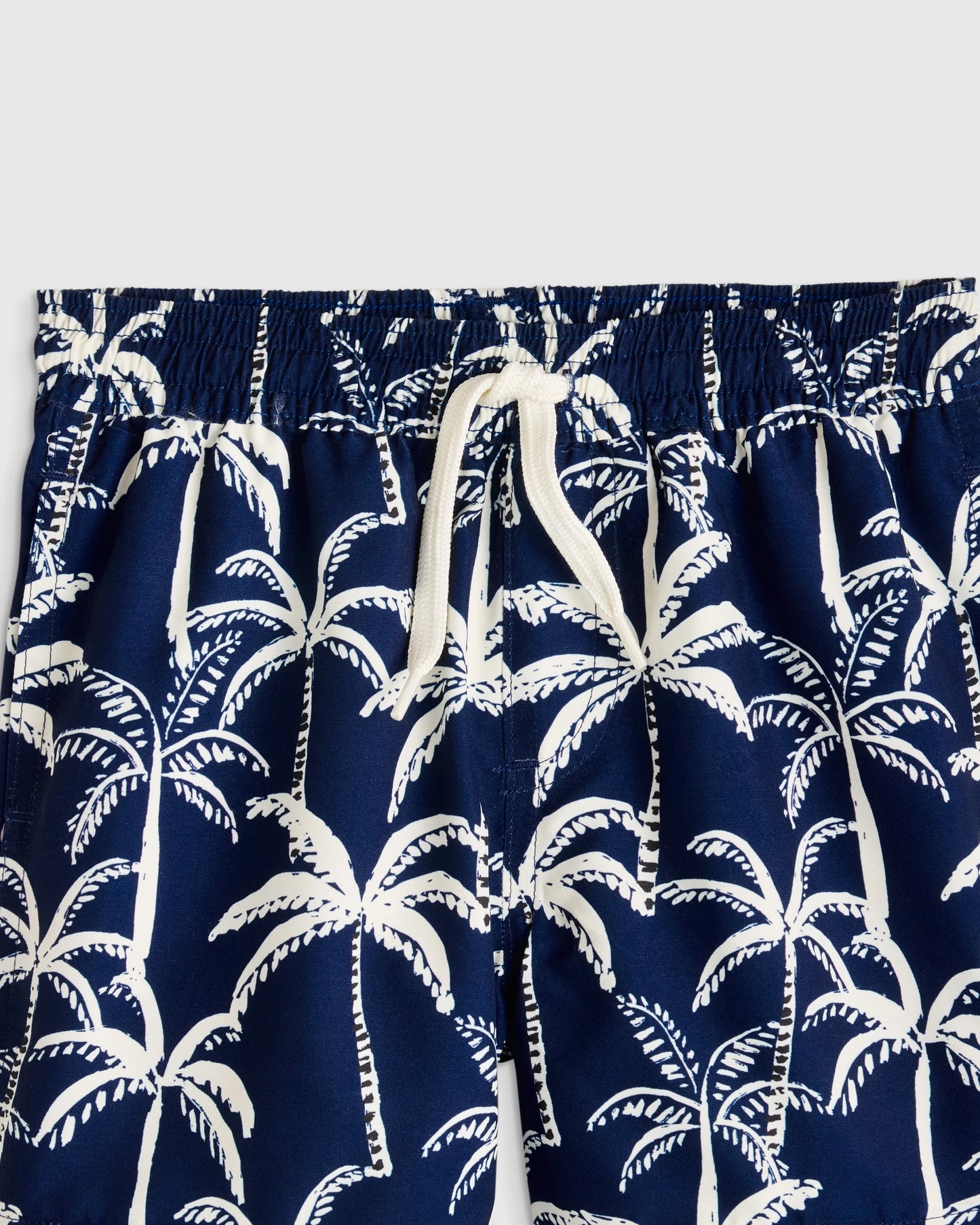 Swim Trunk - 2T / Wavy Fish