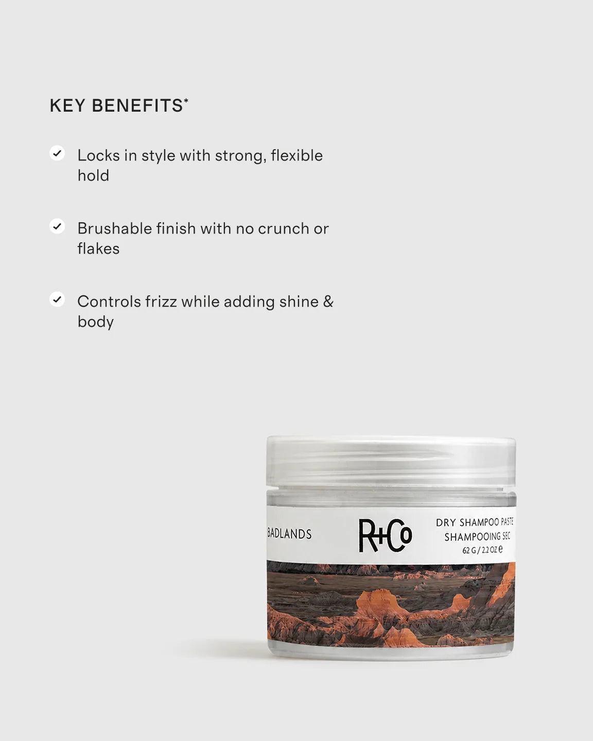 Badlands Dry Shampoo Paste by R+Co - One Size / No Color
