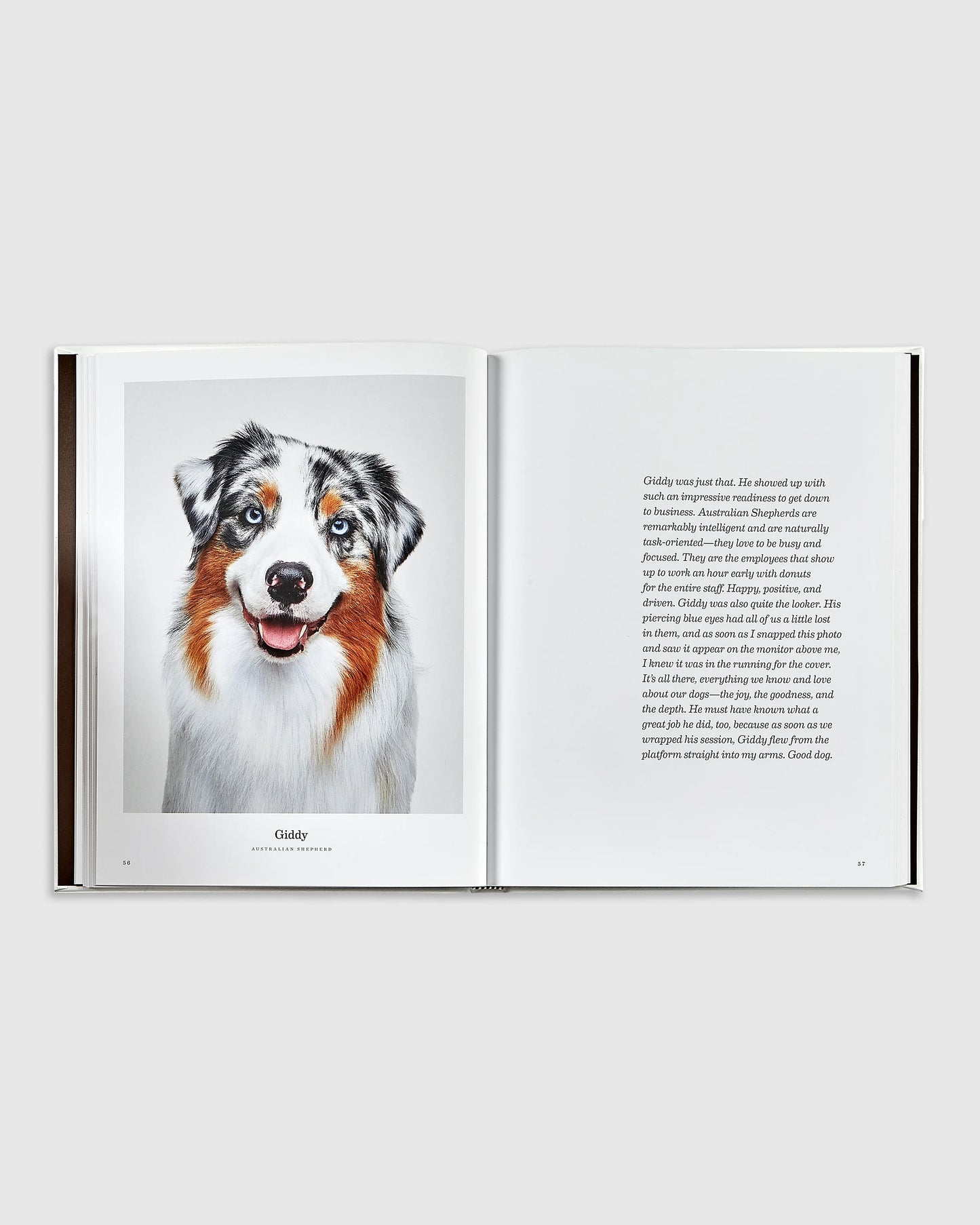 Good Dog Leather Bound Book - One Size / No Color