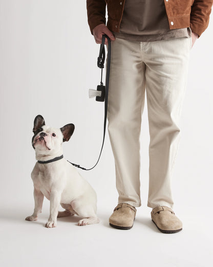 Dog Collar Walk Kit - XS / Black