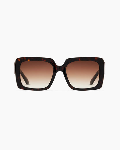 Cartagena Polarized Acetate Sunglasses - One Size / Clear Taupe with Brown lens