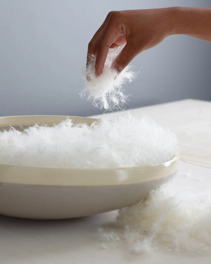 Premium Down Duvet Insert - Twin / Down