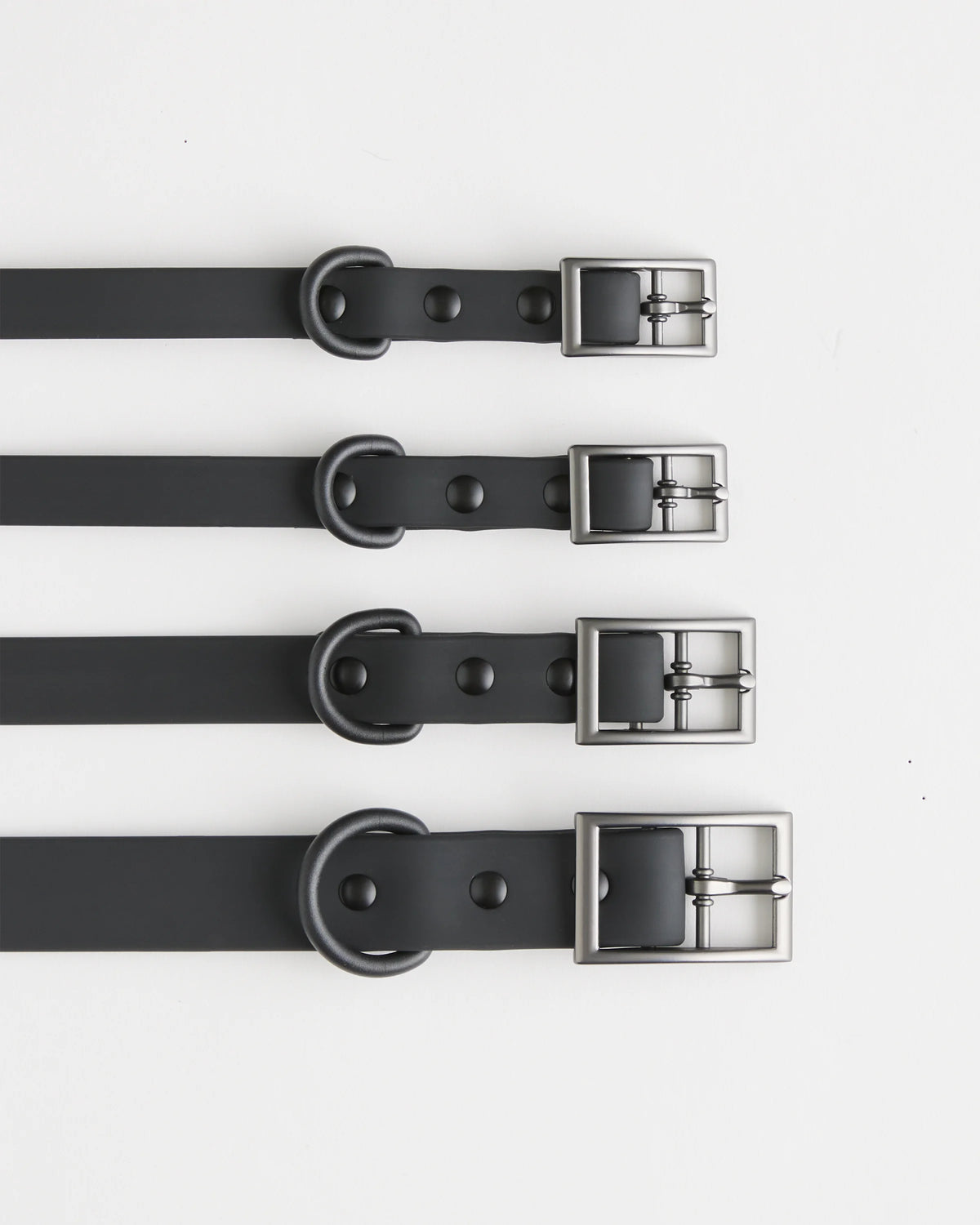 Dog Collar Walk Kit - XS / Black