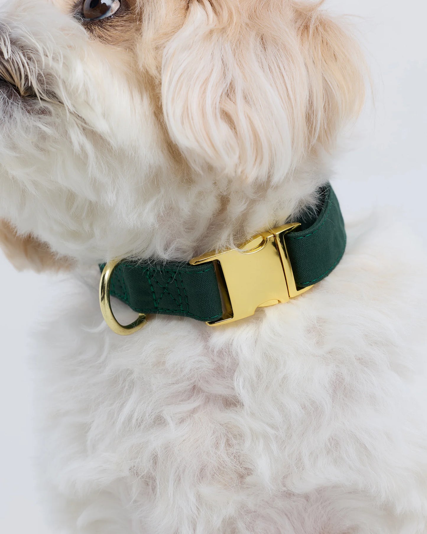 100% Cotton-Wrapped Nylon Dog Collar - XS / Navy
