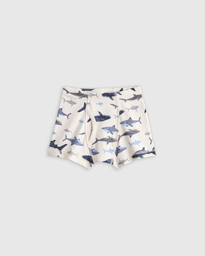 Boys 100% Organic Cotton Boxer Brief 7-Pack - 2T / Boy Multi Pack