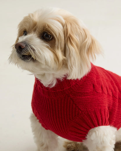 Mongolian Cashmere Cable Knit Dog Sweater - XS / True Navy