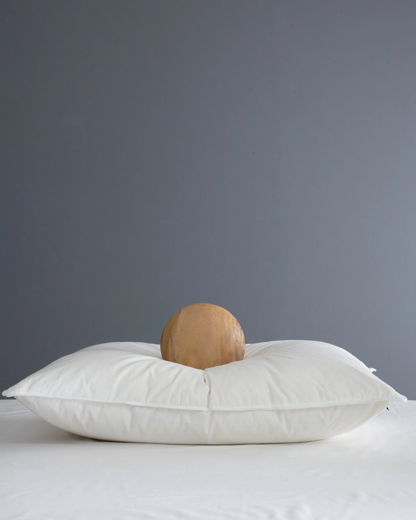 Premium Down Alternative Pillow - Standard / Soft