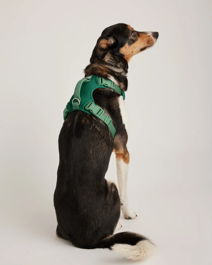 Neoprene Double Panel Dog Harness - XS / Black