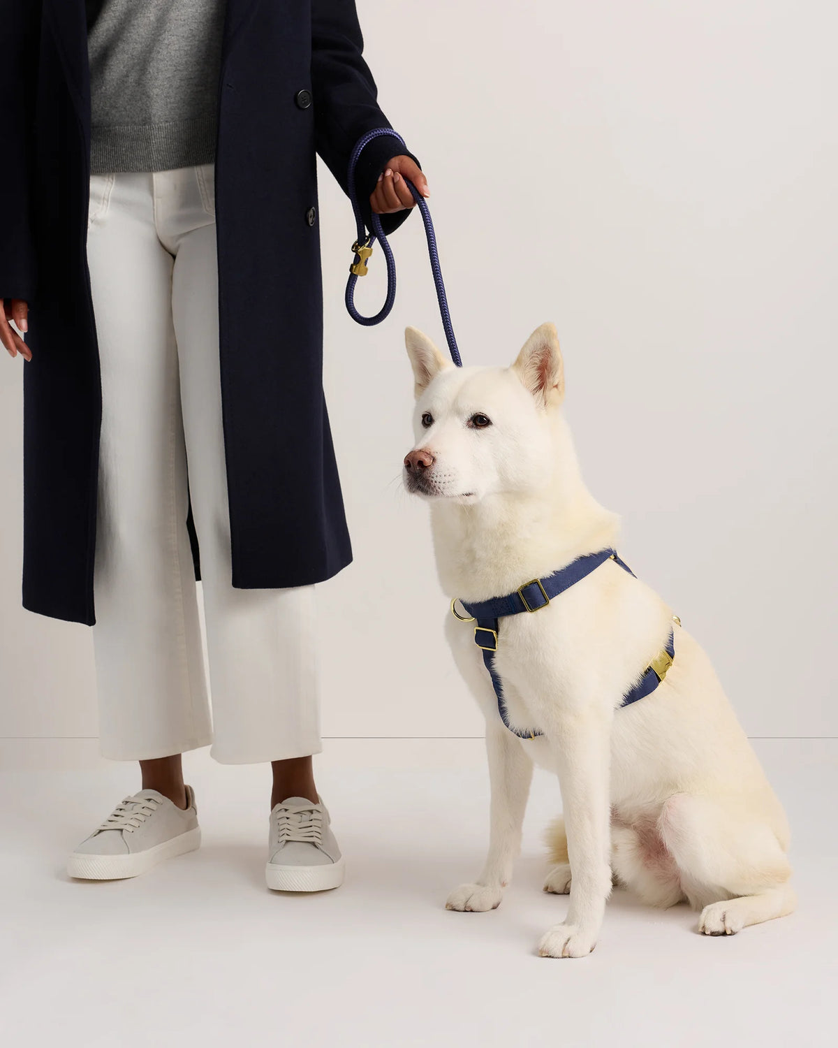 100% Cotton-Wrapped Nylon Dog Harness - XS / Navy