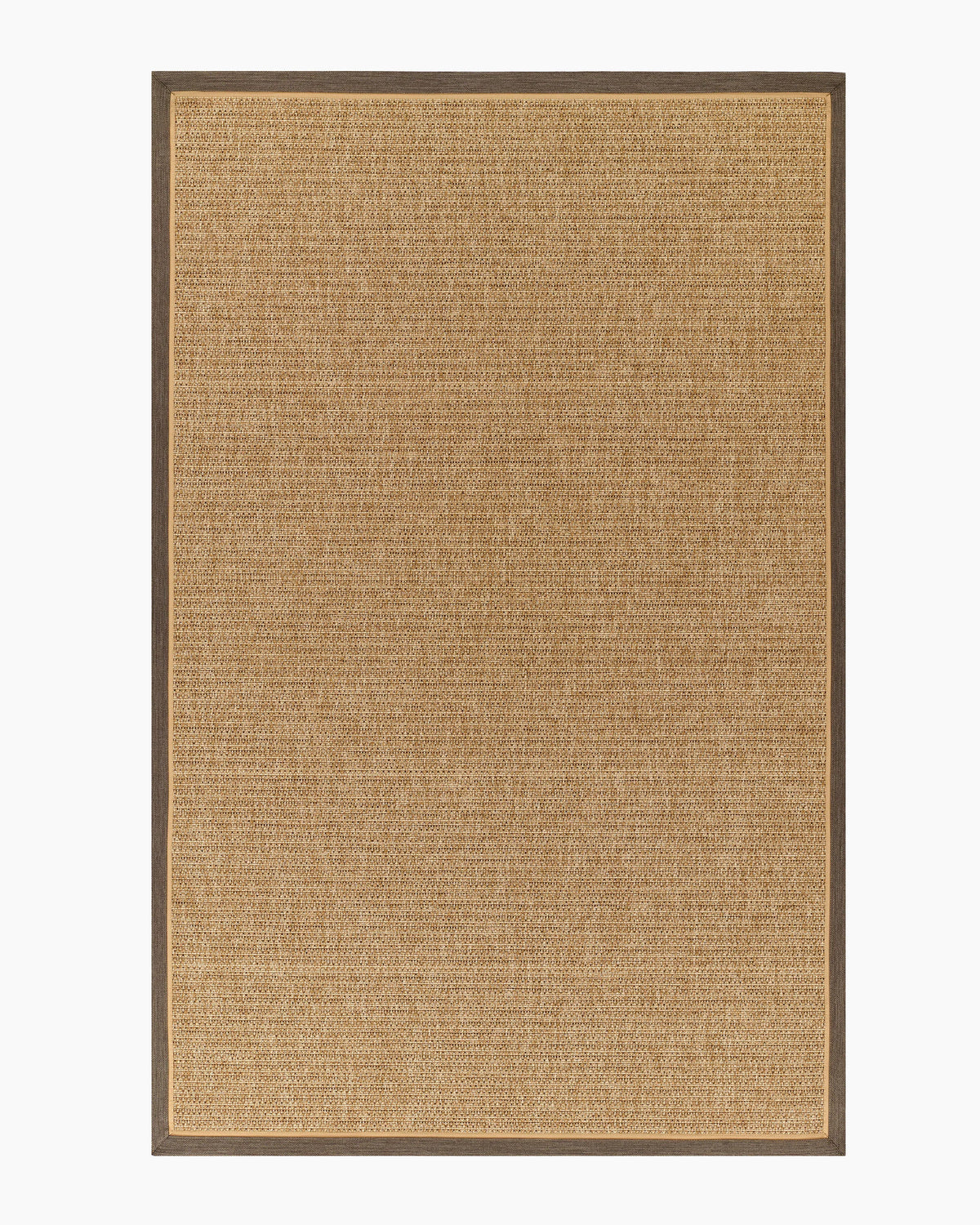 Kitt Indoor/Outdoor Rug - 2' x 4' / Brown/Beige