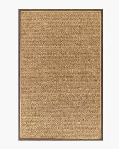 Kitt Indoor/Outdoor Rug - 2' x 4' / Brown/Beige