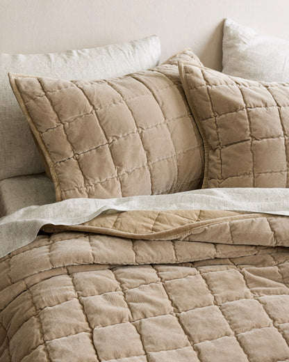 Cotton Velvet Box Quilted Sham Set - Standard / Terracotta