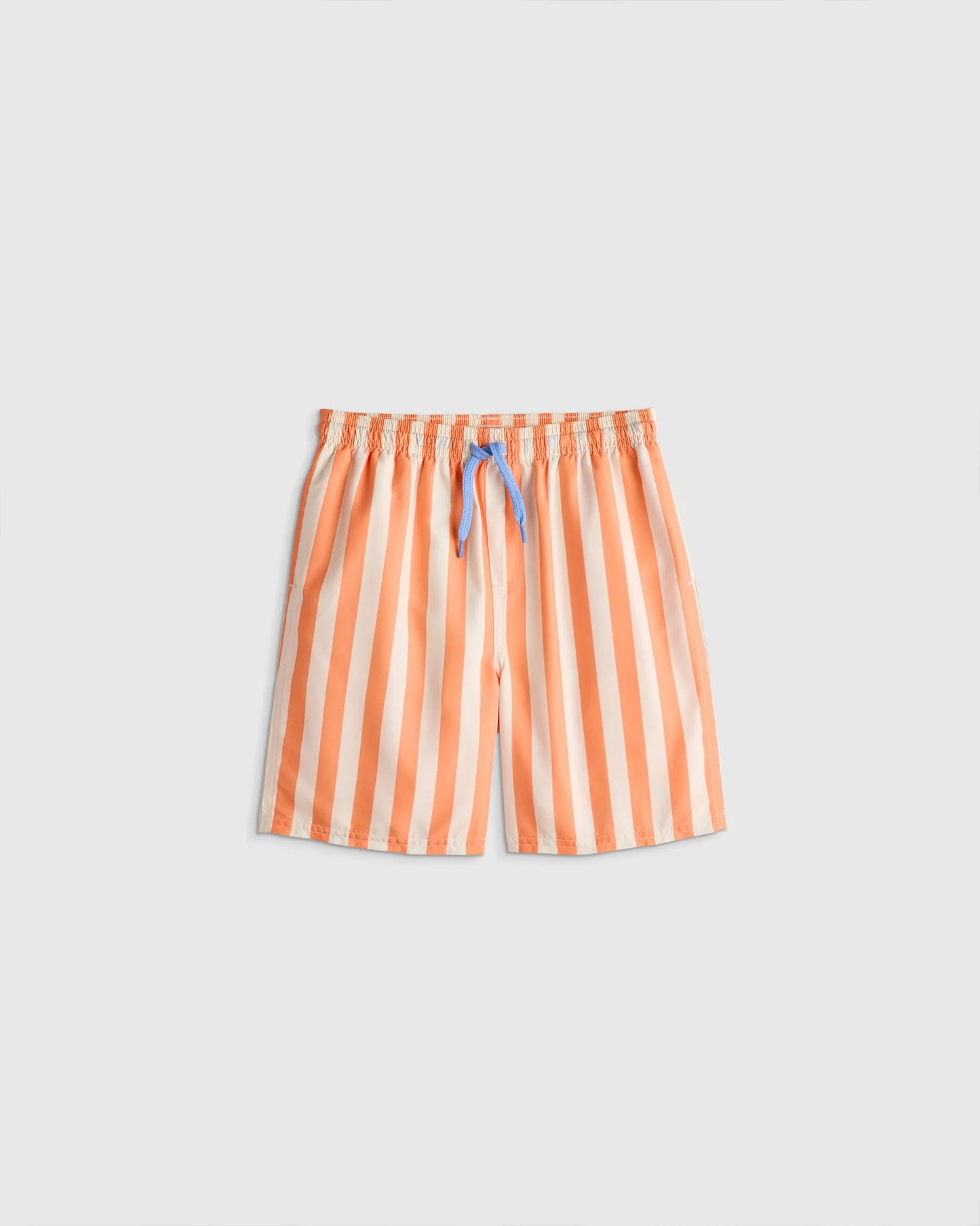Swim Trunk - 2T / Wavy Fish