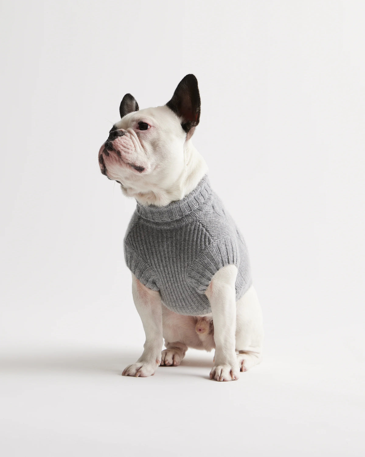 Mongolian Cashmere Cable Knit Dog Sweater - XS / True Navy
