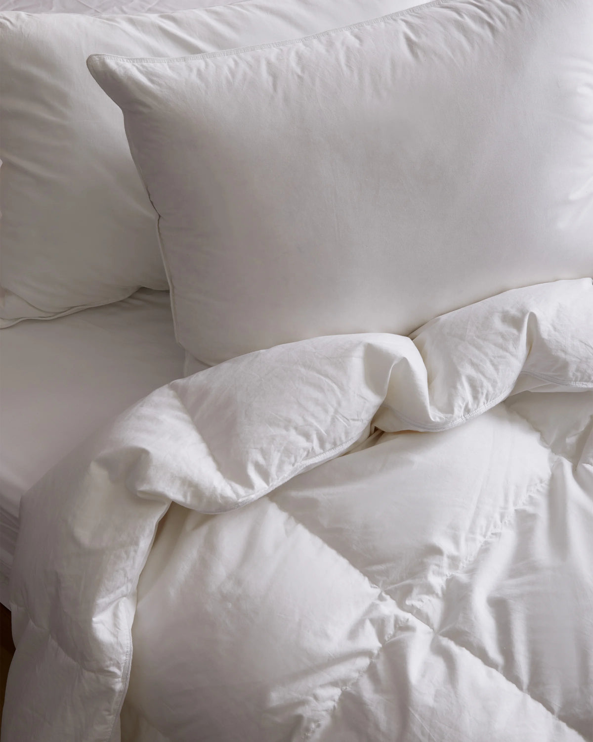 Lightweight Premium Down Duvet Insert - Twin / Down