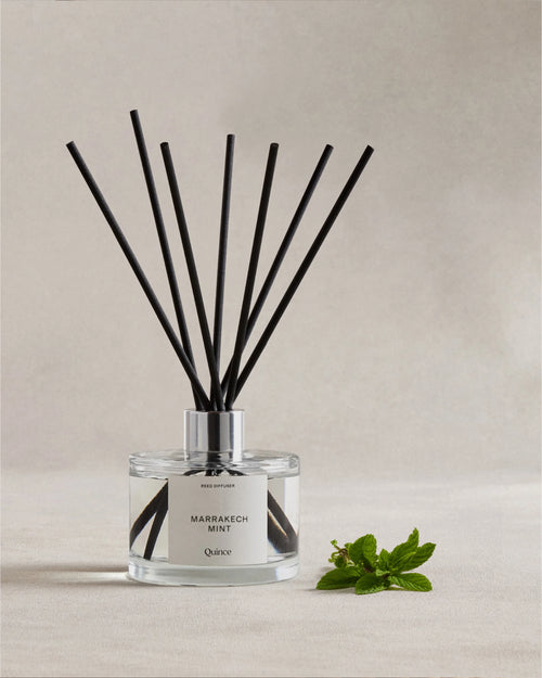 Marrakech Mint Reed Diffuser - One Size / No Color