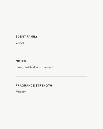Bergamot Basil Candle - One Size / No Color