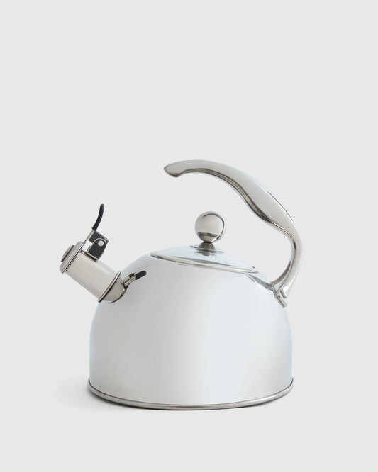Stainless Steel Tea Kettle - One Size / Stainless Steel