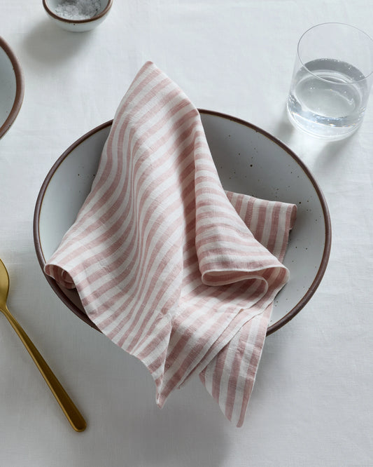 European Linen Wide-Hem Stripe Napkins (Set of 4) - One Size / Mist/White Stripe