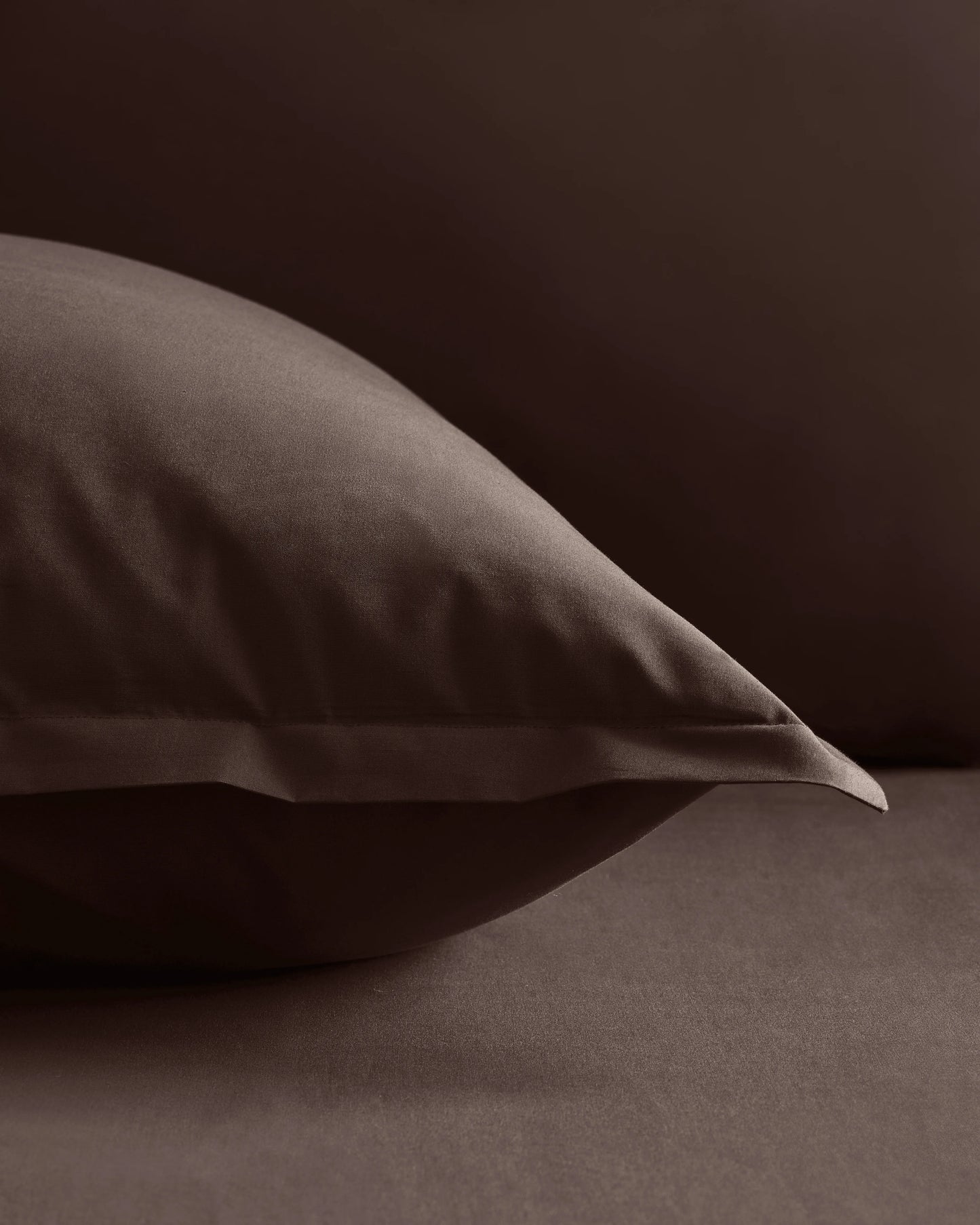 Organic Crisp Percale Euro Sham - Euro / White