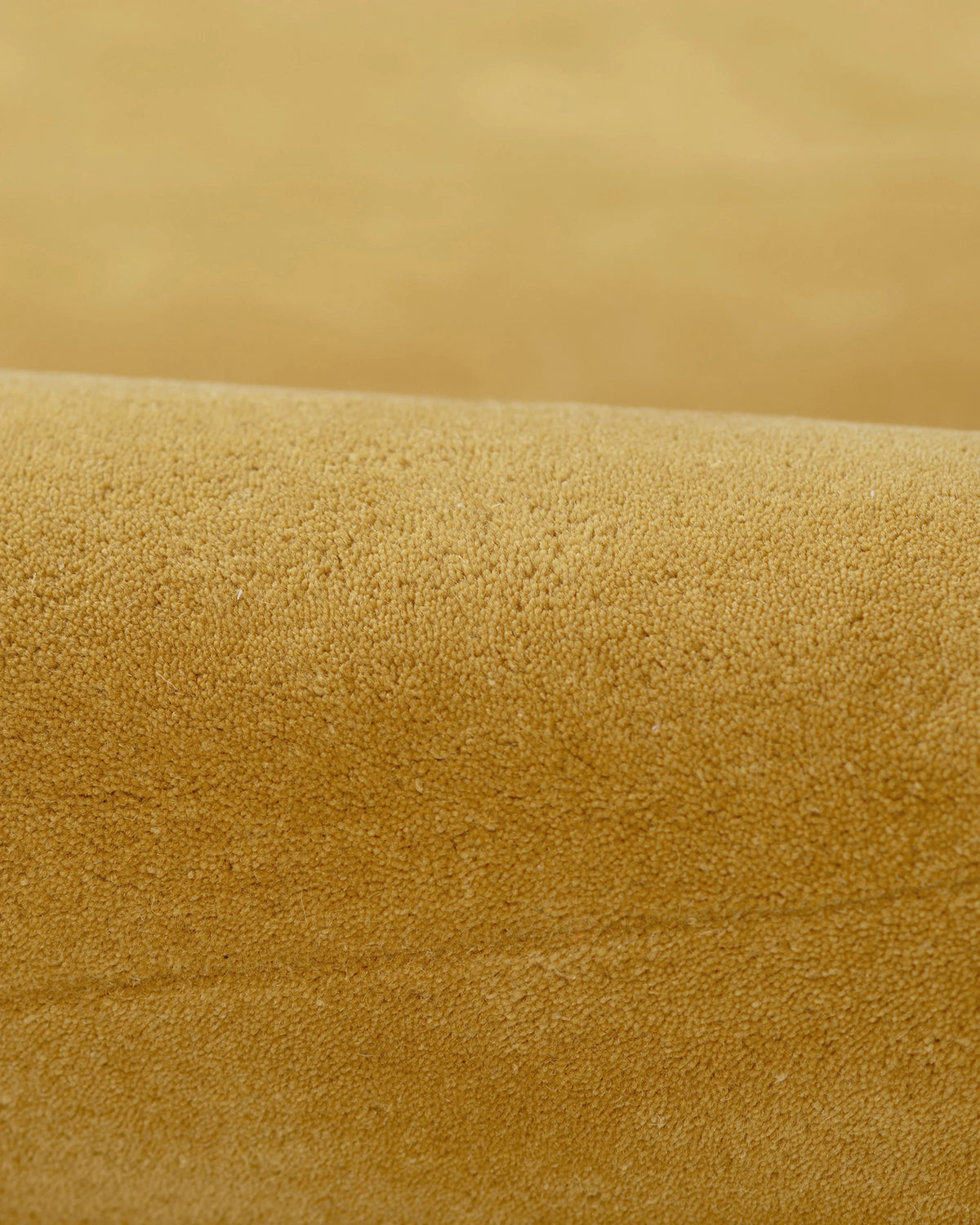 Scalloped Border Hand-Tufted Rug - 5' x 8' / Mustard