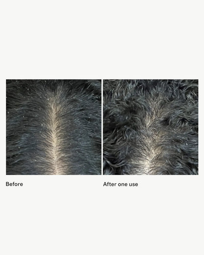Scalp Revival™ Micro-Exfoliating Shampoo 32oz by Briogeo - One Size / No Color