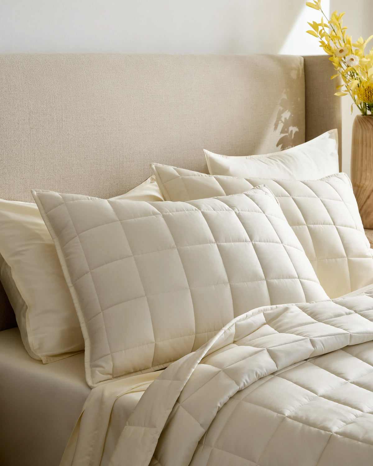 Bamboo Box Quilted Sham Set - Standard / Sage