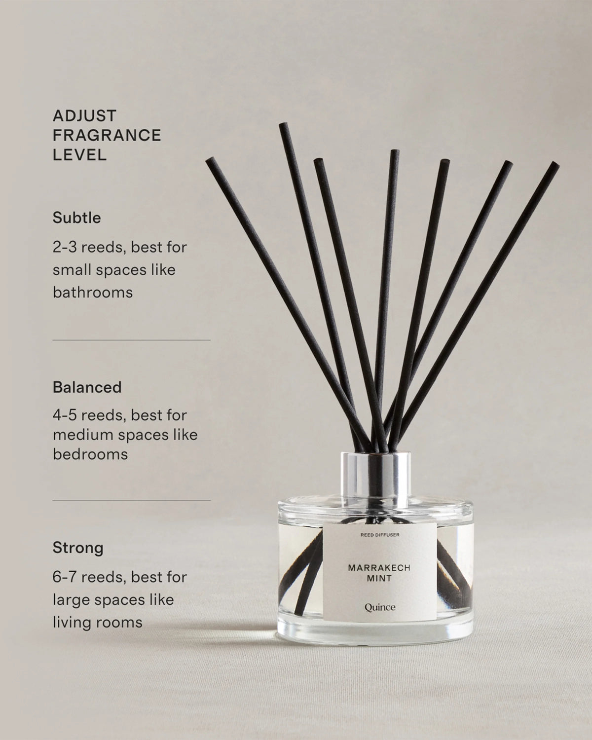 Marrakech Mint Reed Diffuser - One Size / No Color