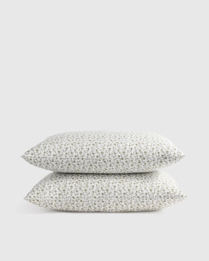 Organic Crisp Percale Floral Sham Set - Standard / Toffee Florette