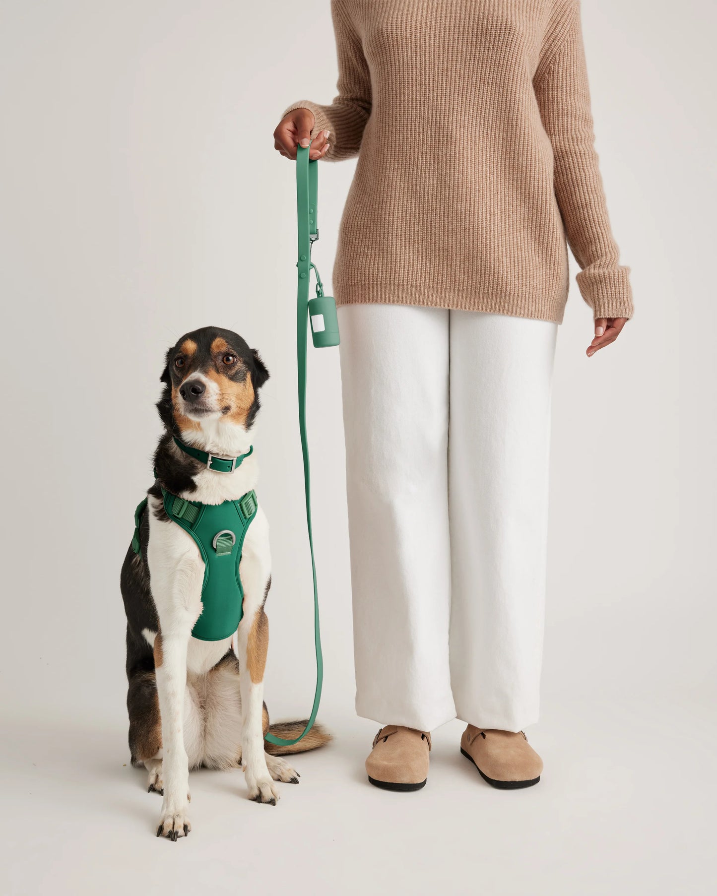 Dog Harness Walk Kit - XS / Black