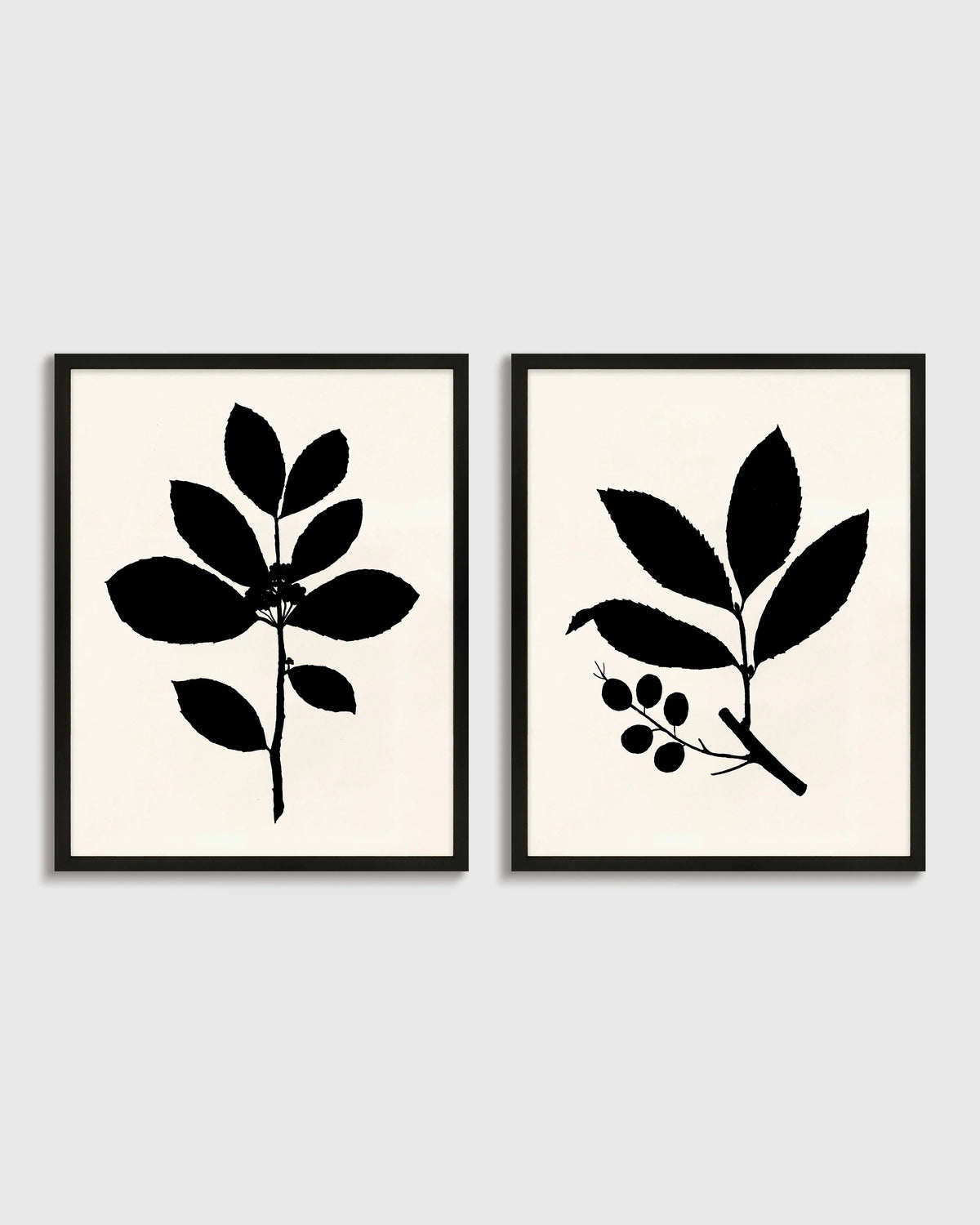 Tea Tree, Cherry Laurel by Philippa Katz (Set of 2) - 17.25"x21.25" / Black