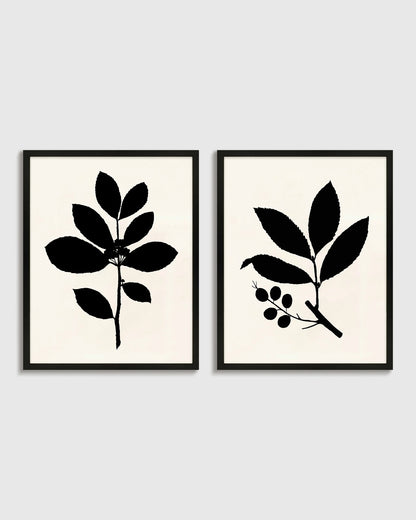 Tea Tree, Cherry Laurel by Philippa Katz (Set of 2) - 17.25"x21.25" / Black