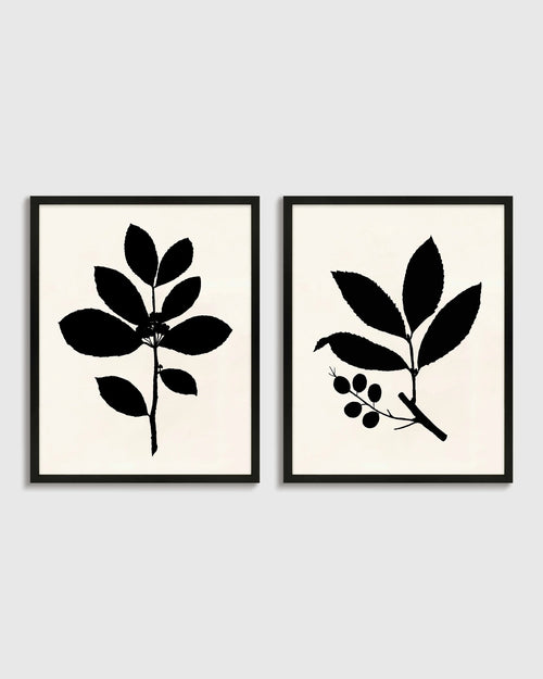 Tea Tree, Cherry Laurel by Philippa Katz (Set of 2) - 17.25"x21.25" / Black