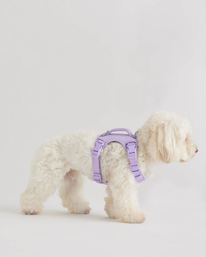 Neoprene Double Panel Dog Harness - XS / Black