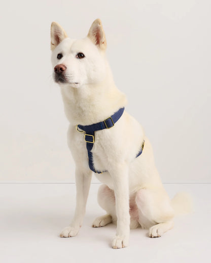 100% Cotton-Wrapped Nylon Dog Harness - XS / Navy