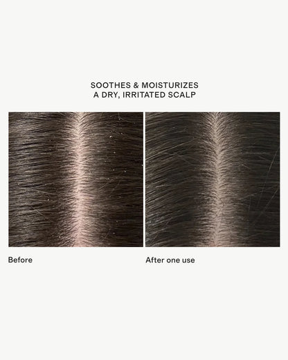 Scalp Revival™ Rosemary Pre-Wash Oil 3.4oz by Briogeo - One Size / No Color