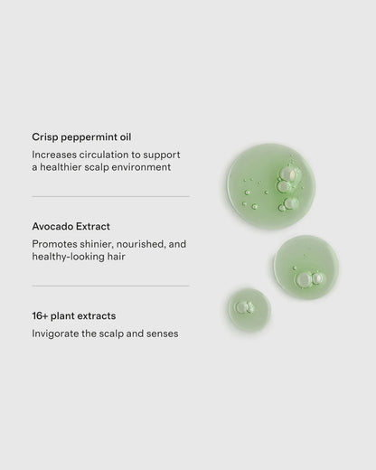 Peppermint Avocado Shampoo 32 oz by Philip B. Botanicals - One Size / No Color